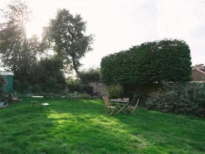 Picture 7